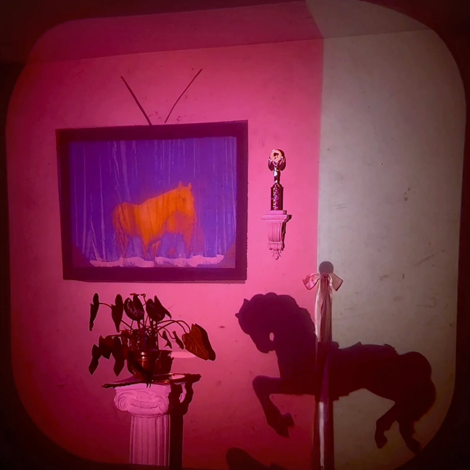 soft siren Preview Debut Album 4AM With Dreamy New Single Feeling Down