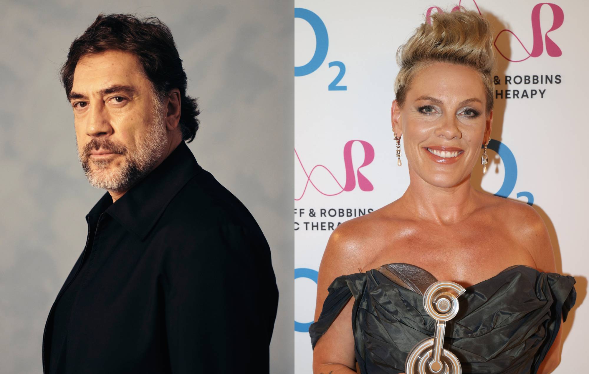 Javier Bardem Backs Petition Calling for Pink's Removal as UNICEF Ambassador